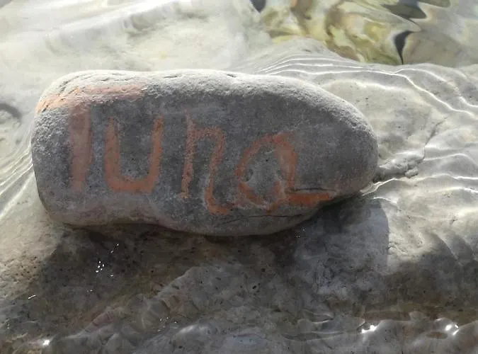 Apartmán House Tuna *