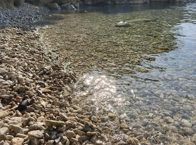 House Tuna * Ustrine