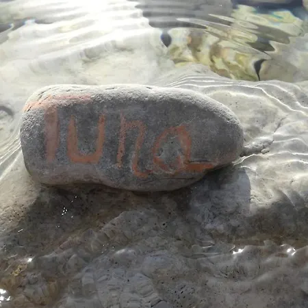 Apartman House Tuna *