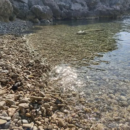 House Tuna * Ustrine