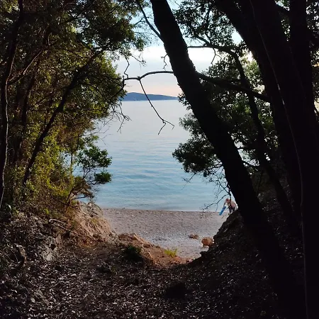 Daire House Tuna Ustrine