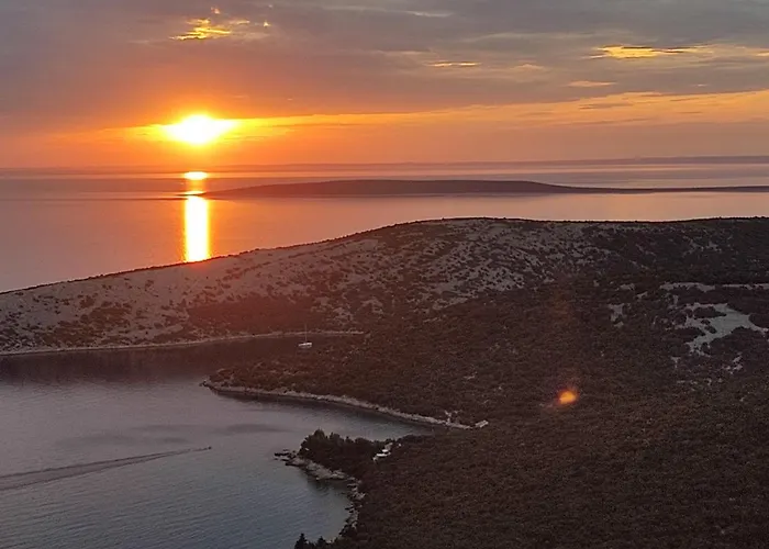 House Tuna * Ustrine