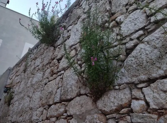 House Tuna Lägenhet